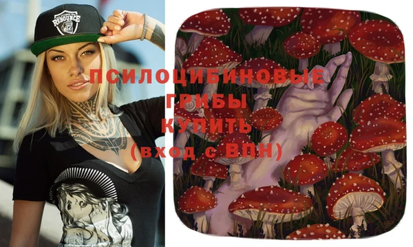 дживик Вяземский
