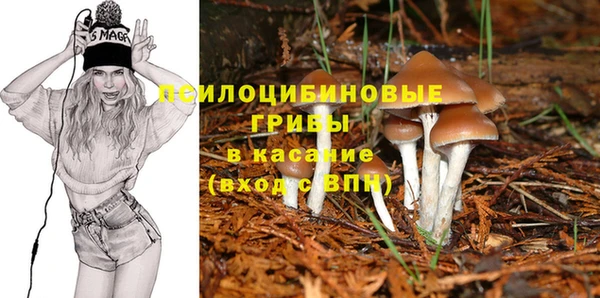 дживик Вяземский