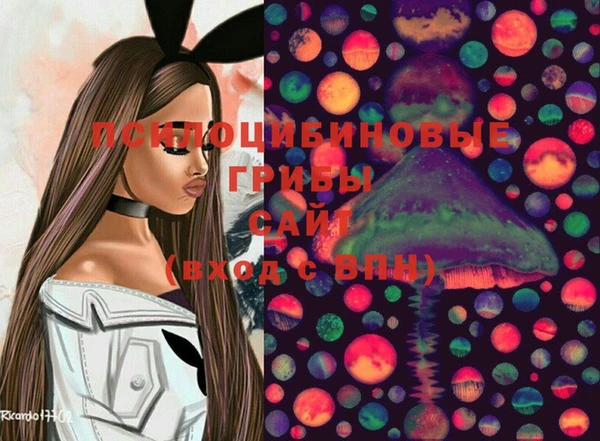 дживик Вяземский